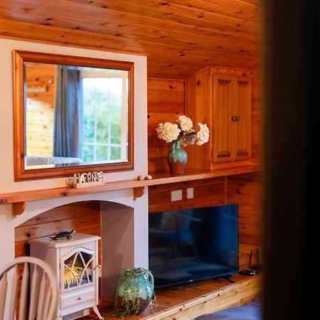 Rural Log Cabin In Snowdonia Near Coed Y Brenin By Seren Short Stays Ffestiniog Exterior foto
